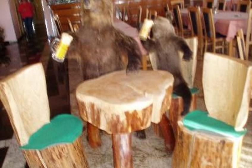 Appartement - foto 11