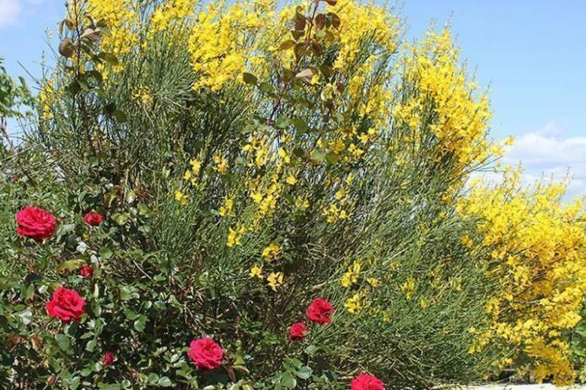 Villa Bobolino auf dem Lande mit privatem Pool - foto 31