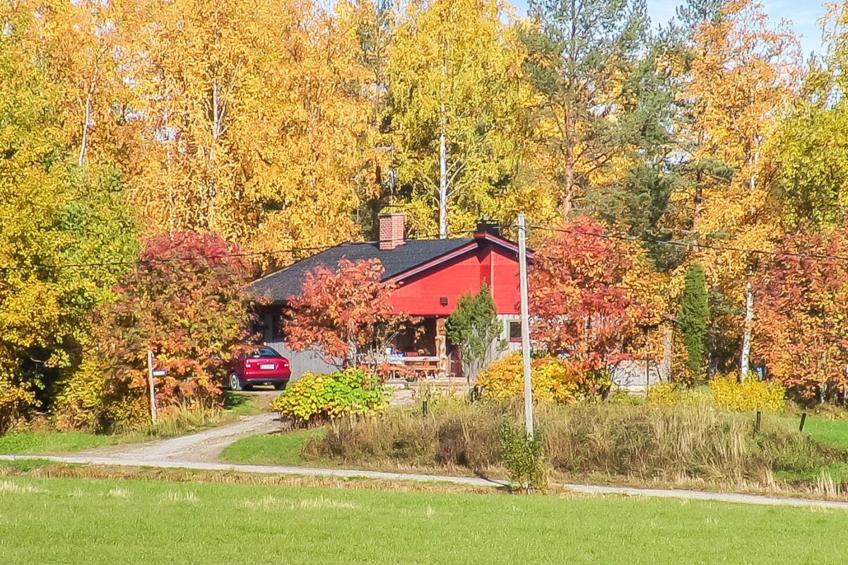 Viehko, mustosen lomamökit - foto 20