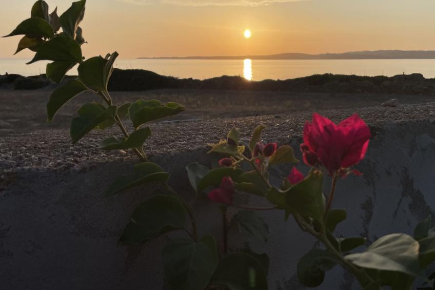 Wohnung in Calasetta mit Grill und Garten - foto 22