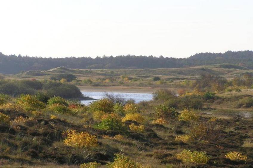 Anna's Place - foto 29