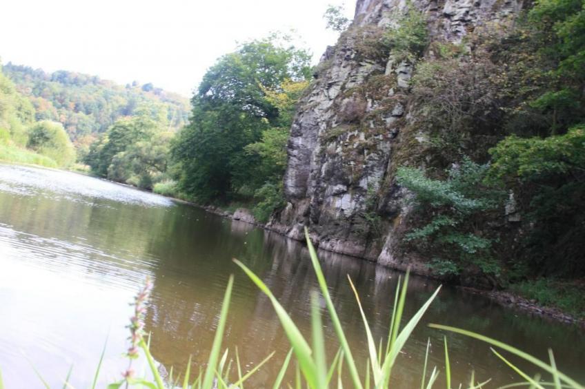 mit Blick auf das Wasser - foto 22