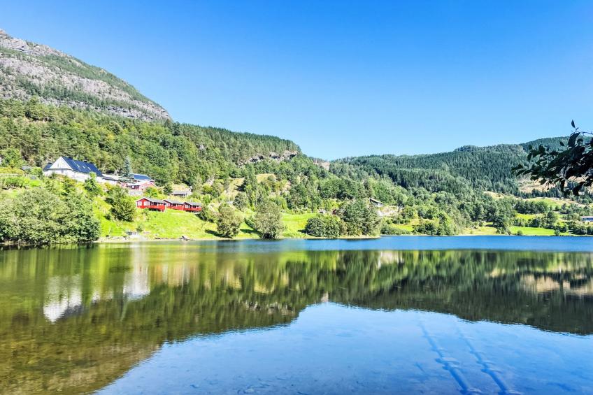 Samlen Vasselgård - foto 29