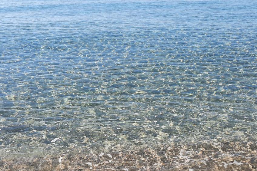 Casa Orchidea - foto 3