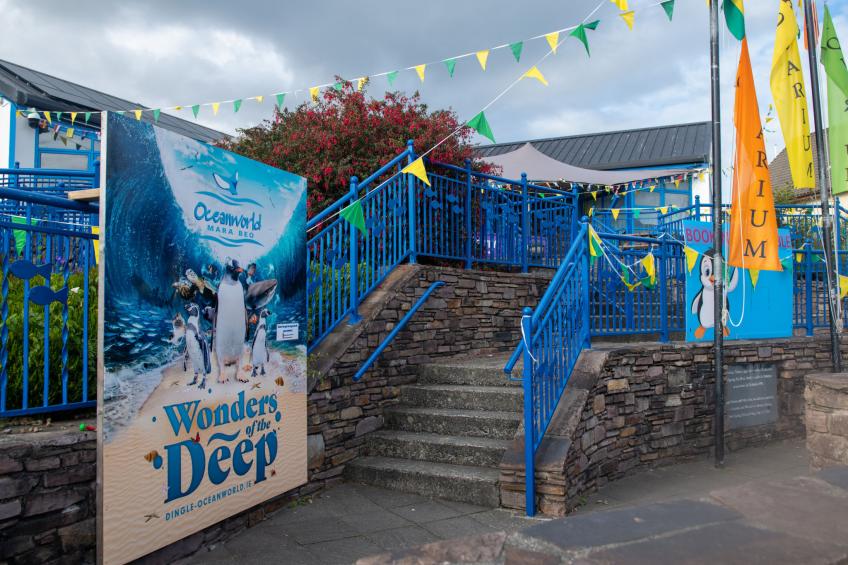 Dingle HC (S7)(TR4)  No 13 - foto 5