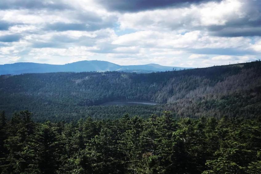 Bayerischer Wald - foto 20