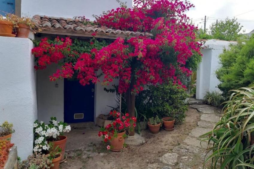 Historisches Haus in der Nähe des historischen Dorfes von Óbidos - foto 43
