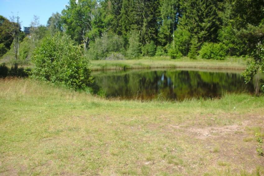 Haus am Waldrand - foto 17