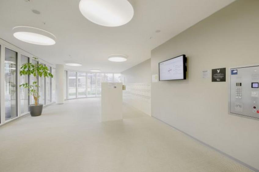 LU Drachenmoor IV - Allmend HITrental Apartment - foto 15