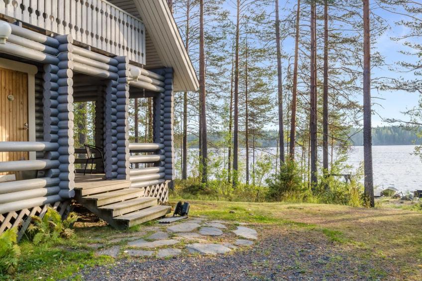 Koli, cjoe069 kissankello - foto 3