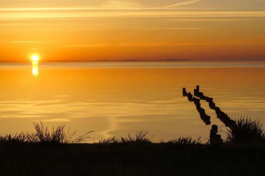Wohnung in Mönkebude mit Terrasse und Grill - foto 34