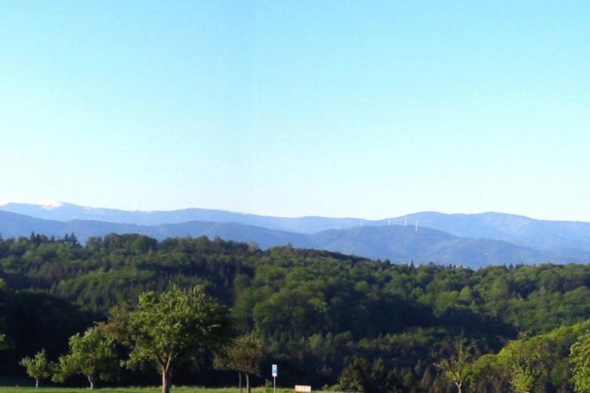 Tinyhaus Adam - foto 9