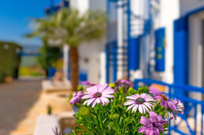 vitorakis apartments - foto 33