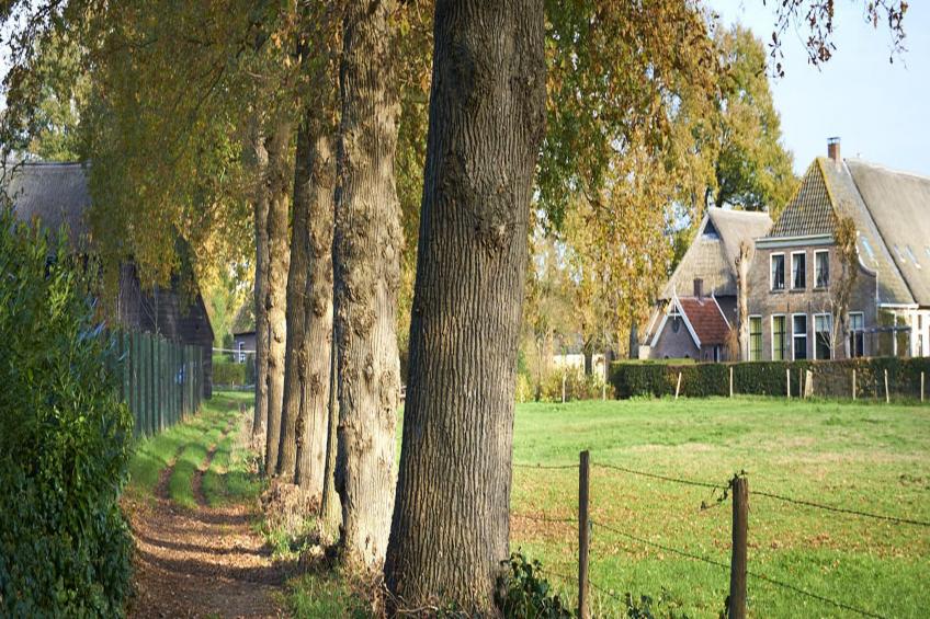 Vacation home Balkbrug - foto 19
