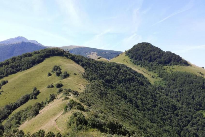 Lupo - foto 31