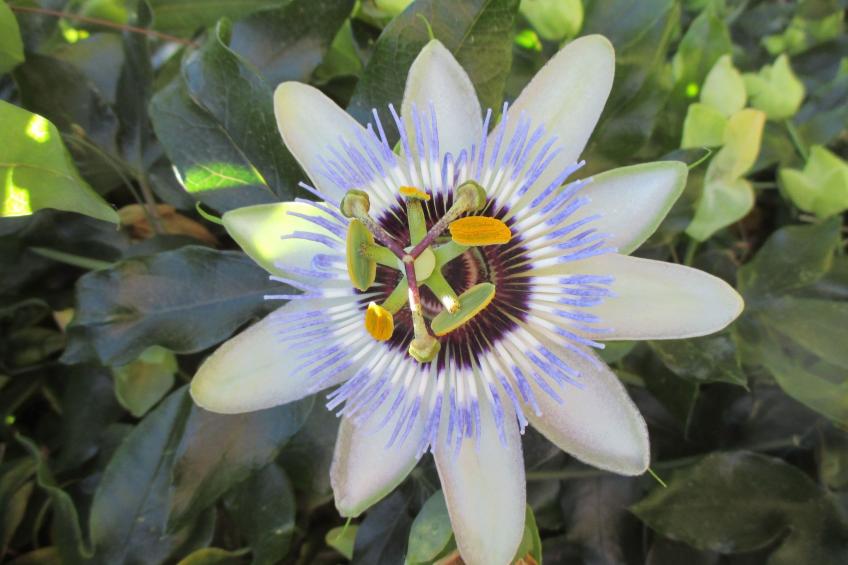 Sole e Ventu 70qm - foto 10