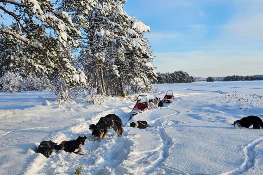 Ölrun Stuga - foto 47