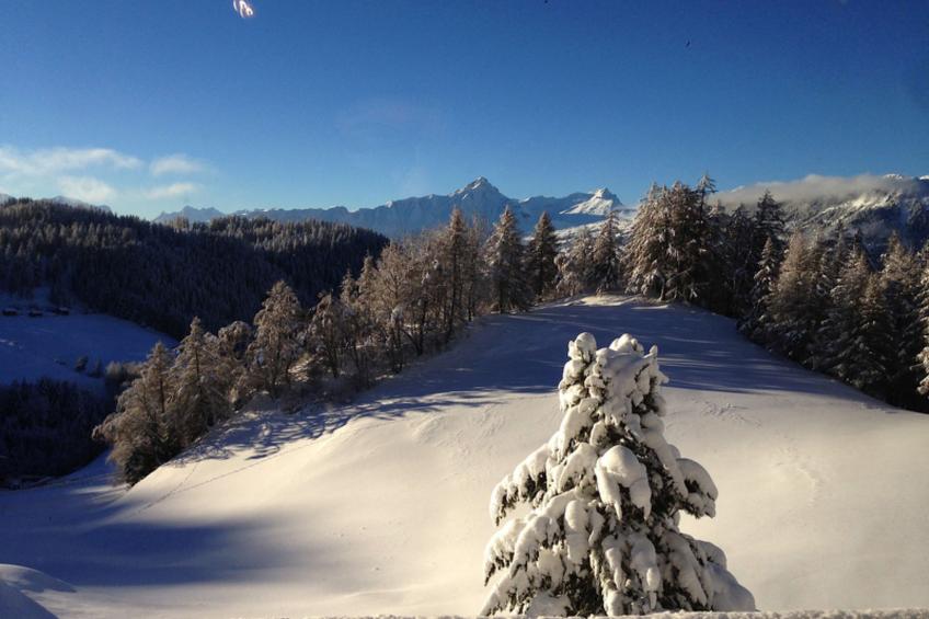 Chalet Lieuretta da Tscharfs, (Feldis). - foto 21