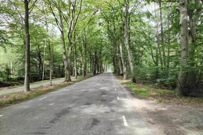 Lyts Sypenstien - foto 33