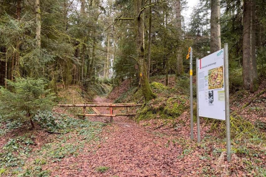 Berghof Erlebnis - Event-Location auf dem Land - foto 15