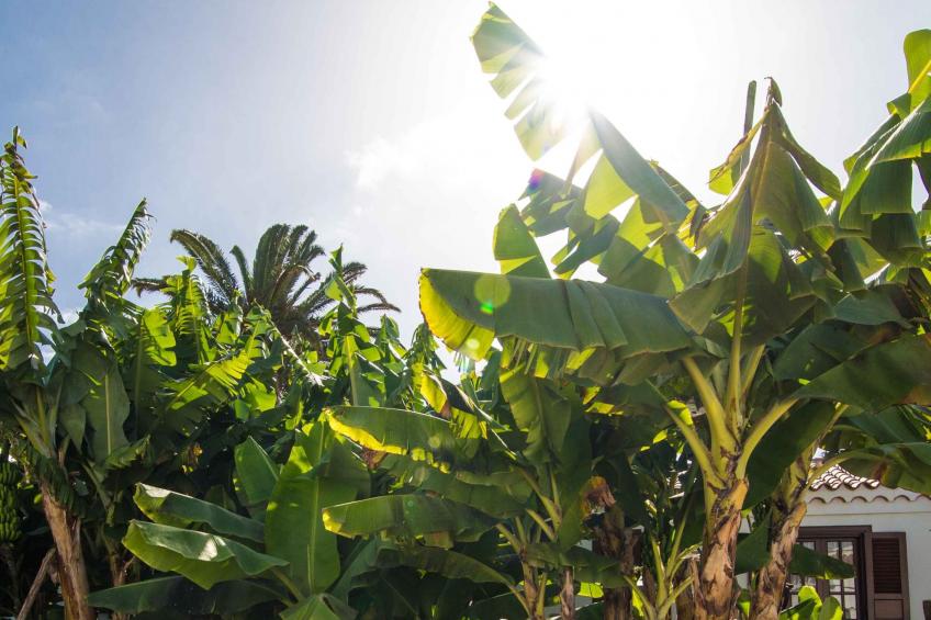 Familienfinca auf dem Lande mit Schwimmbad - foto 31