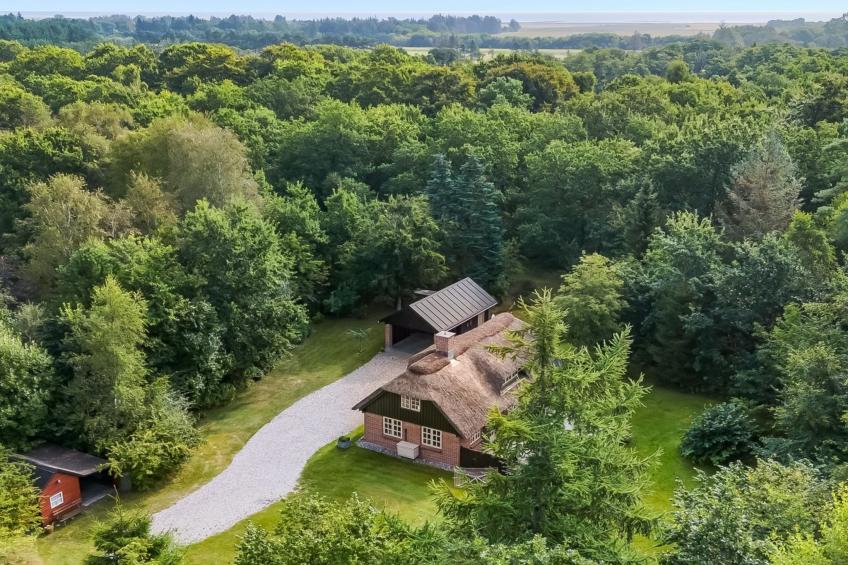 "Hilaria" - 2.1km from the sea - foto 5