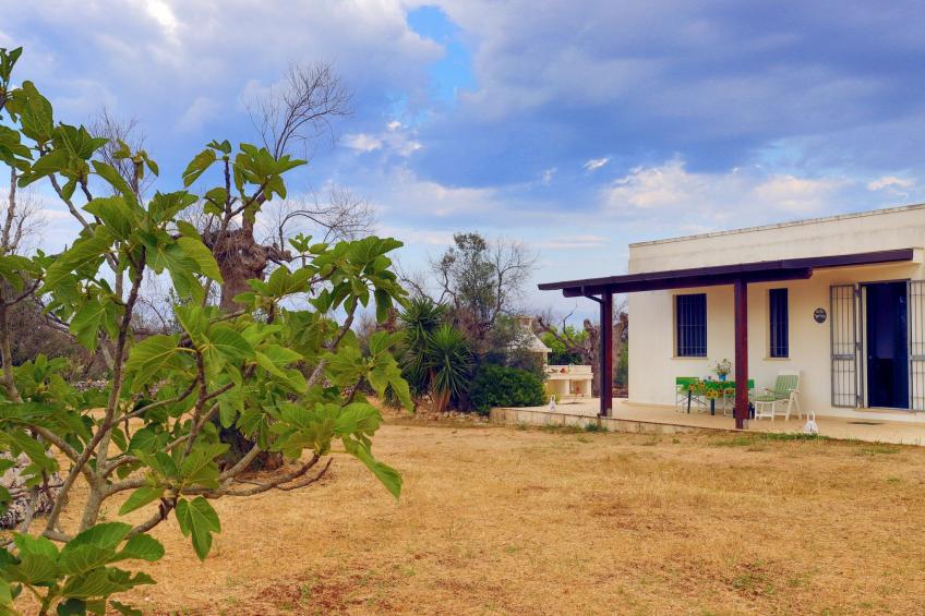 Casa Barza in Salve - foto 13