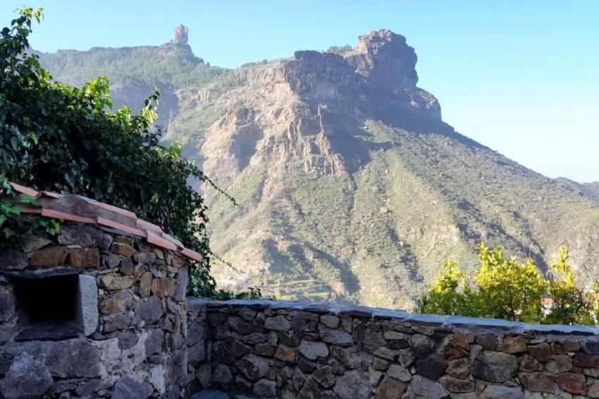 Landhaus Pepita la de las flores - foto 48