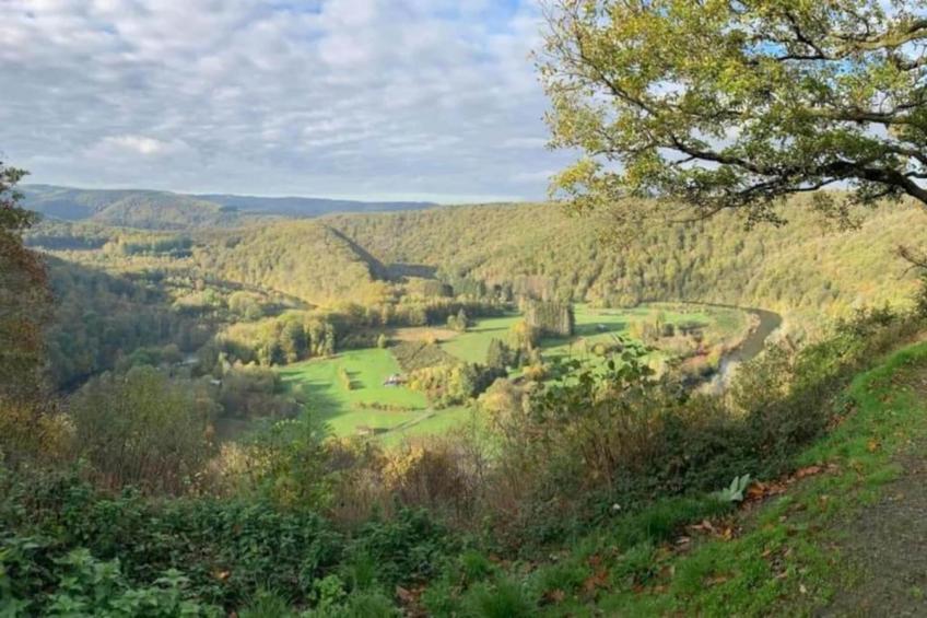 Leora Cocoon - foto 34