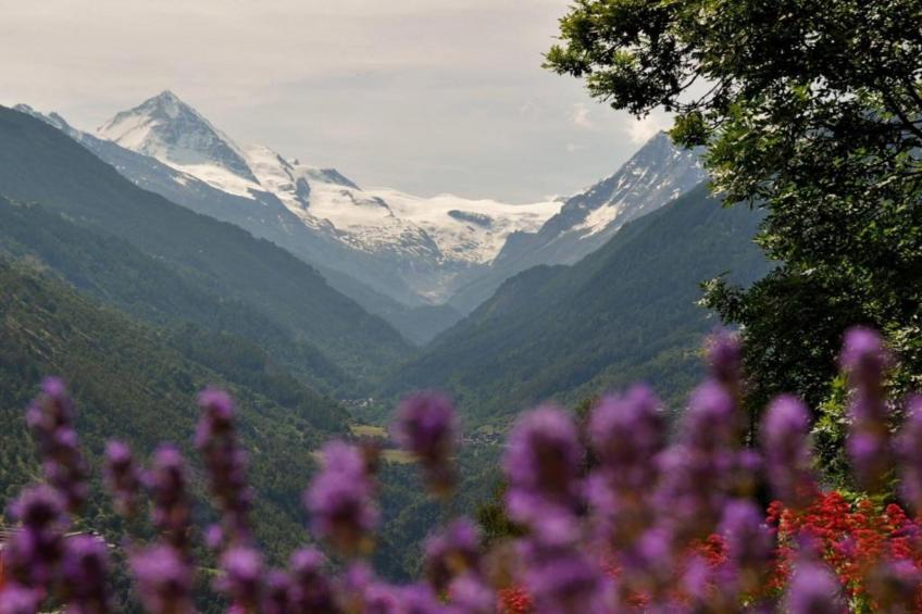 Mayens de l'Ours AZ 032 - MOUNTAIN apartment 6 p - foto 16