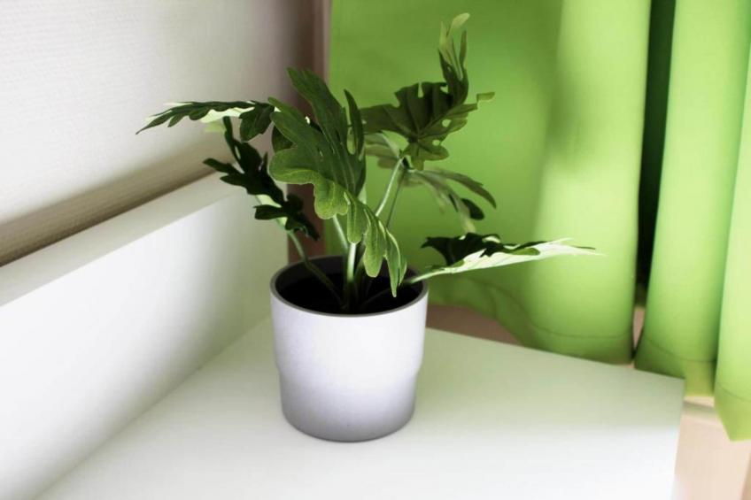 Single Room - foto 33