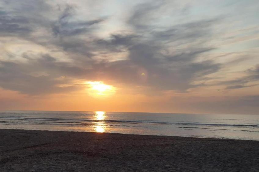 Fort den Haak - Chalet 1 tm 5  hond - foto 32