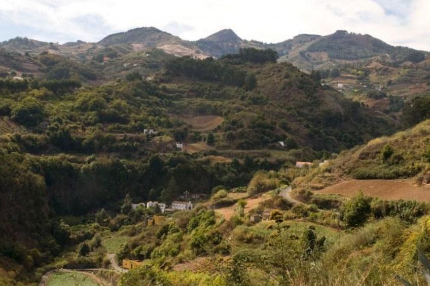 "El Laurel" - foto 21