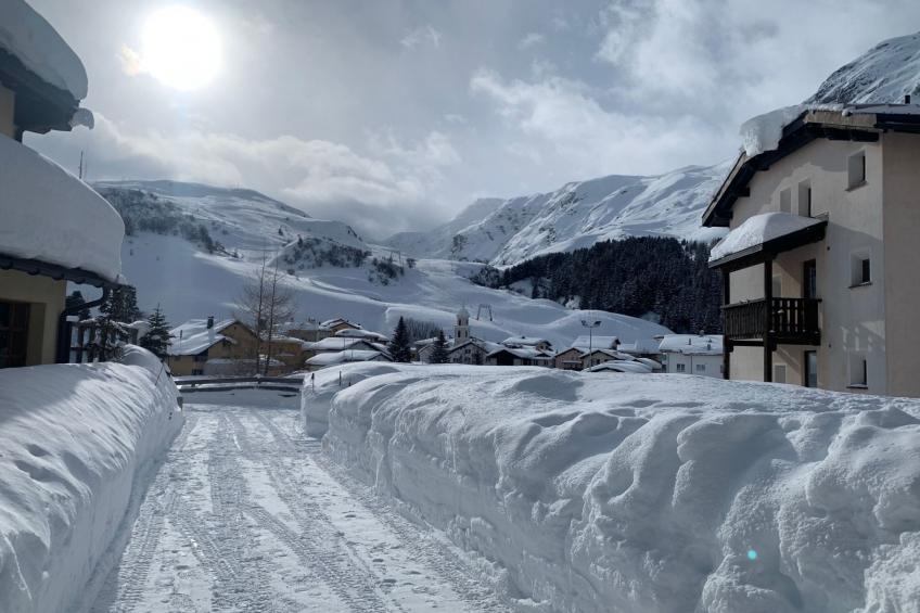 mit Blick in die Berge - foto 32