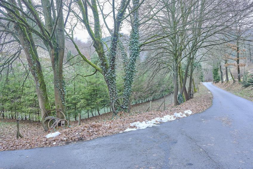 Am Damwildgehege II - foto 32