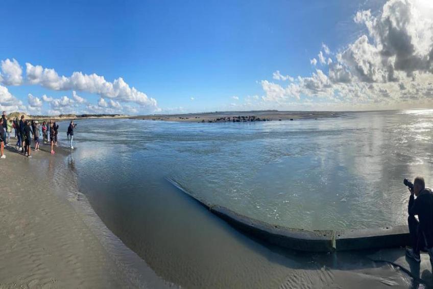 Résidence les Villas de la Baie - foto 23