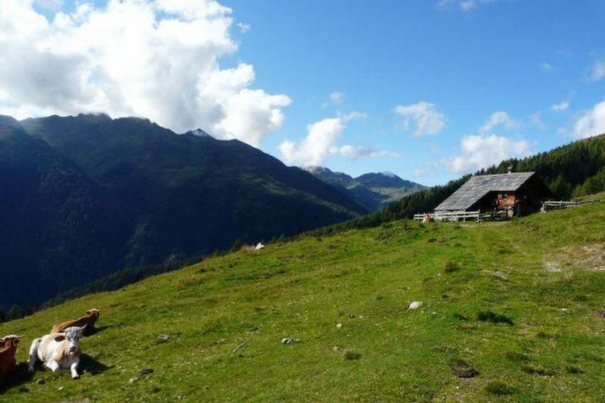 Almhütte Enzian - foto 42