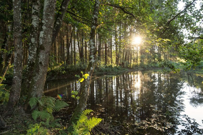 EXKLUSIVE FERIENWOHNUNG MIT EIGENER SAUNA - foto 14
