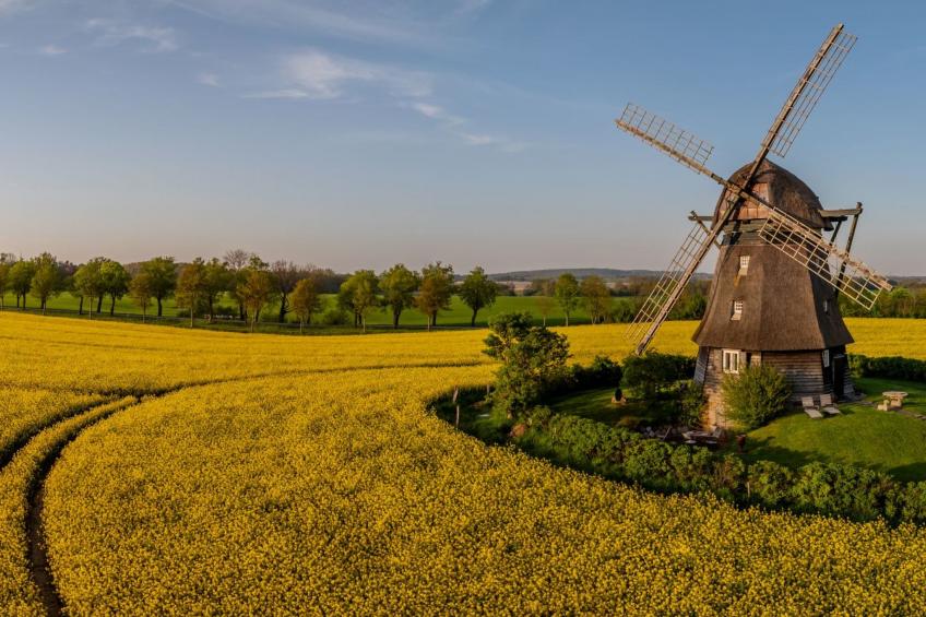 hey Beachvilla - foto 37