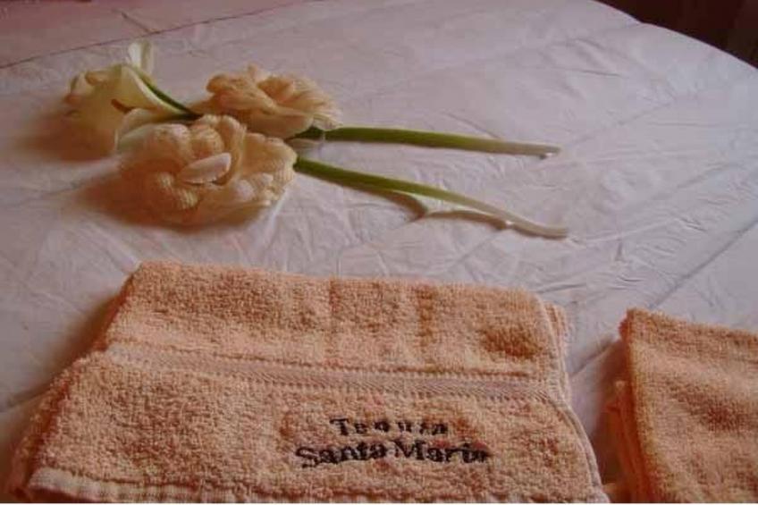 in Notaresco mit Grill und Garten - foto 14