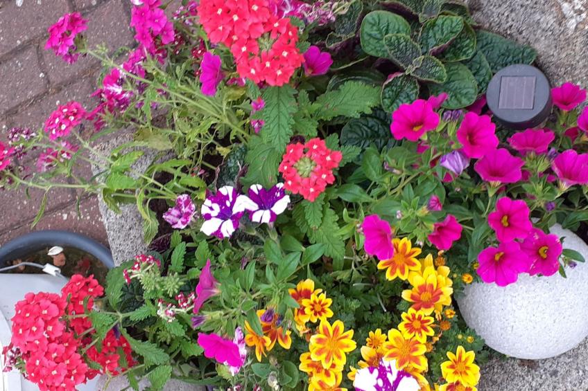 FeWo- Monteurwohnung - foto 22