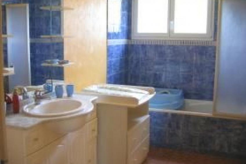 "Les Hortensias" (Die Hortensien) - foto 10