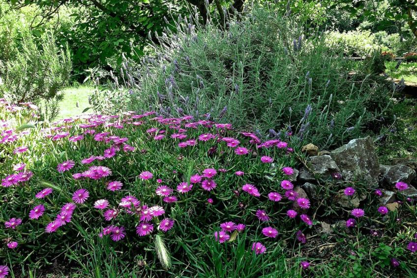 Casa Erika - foto 37