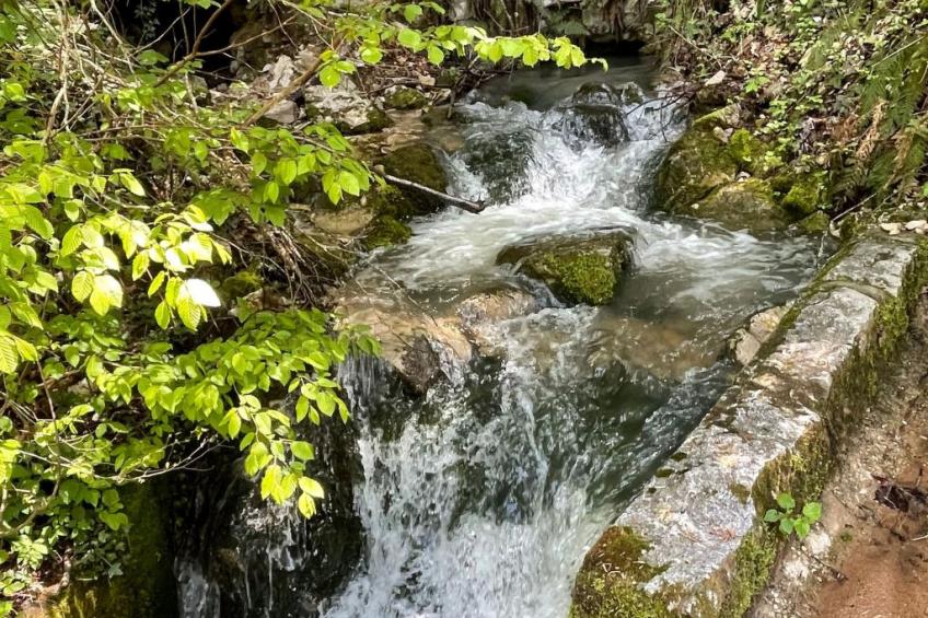 Haus Sonnenschein - foto 42