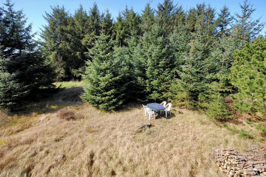 "Minja" - 900m from the sea in NW Jutland - foto 8