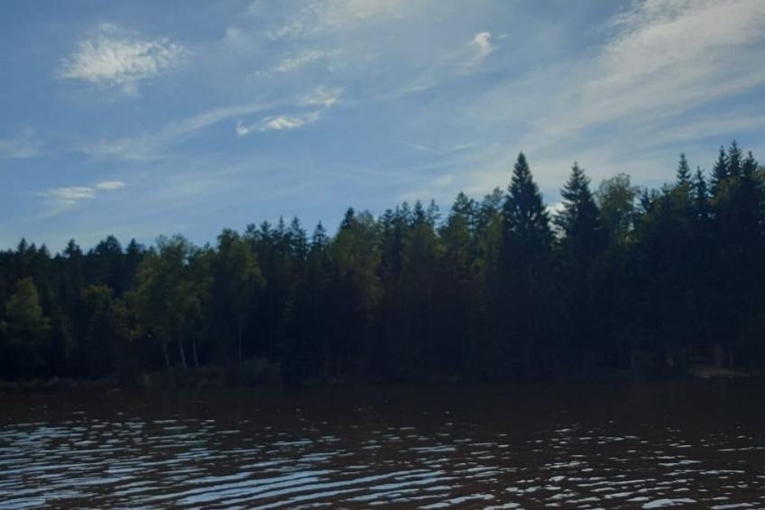 Wohnung Dreisessel im Bayerischen Wald - foto 18