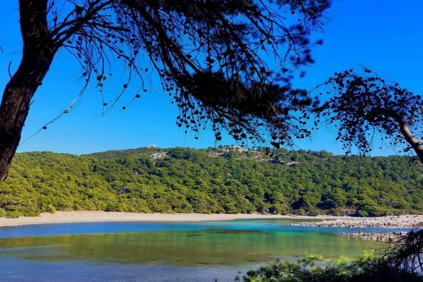 Apartments Franka Saplunara-Triple Room with Terrace and Sea View  No1 - foto 15