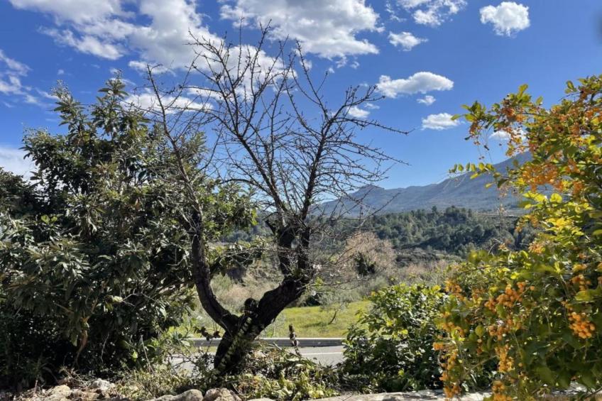 Finca Caballo Verde - foto 20