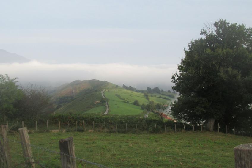 Résidence La Marquisie 4p8p - foto 22