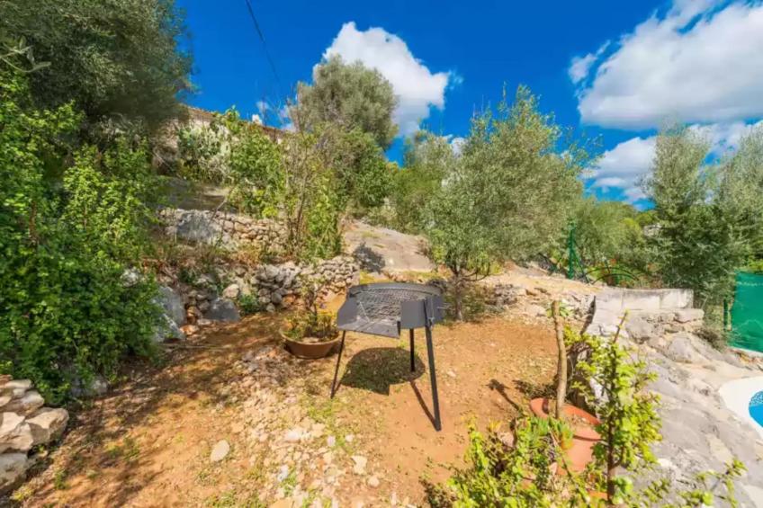 Can BessÓ Mancor De La Vall - foto 26